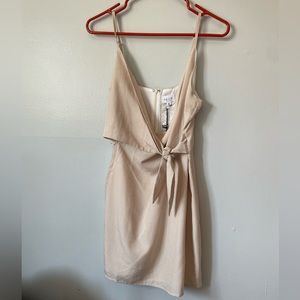 Picnic Mini Dress